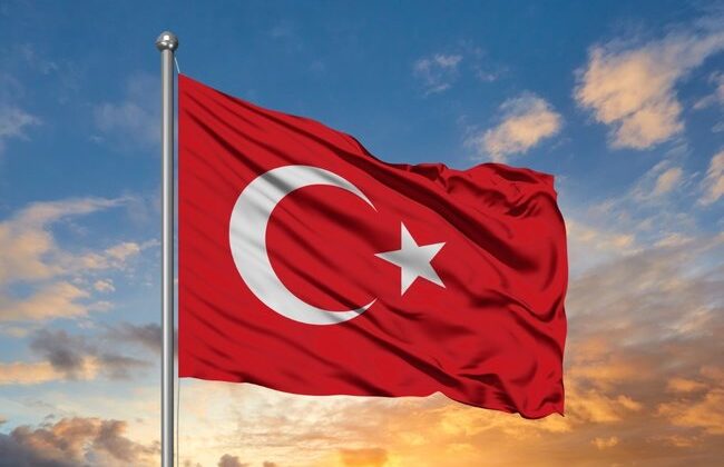 Sınır hattında terör örgütü YPG/SDG yandaşlarının Türk bayrağına saldırısına tepkiler