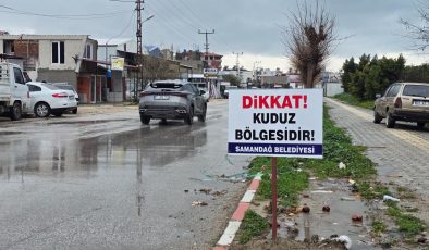 Hatay’da kuduz vakası nedeniyle 4 mahalle karantinaya alındı