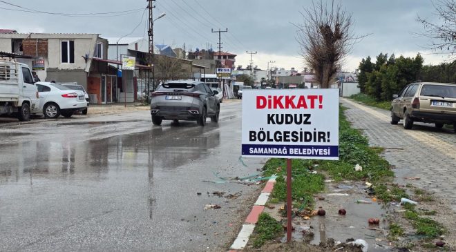 Hatay’da kuduz vakası nedeniyle 4 mahalle karantinaya alındı
