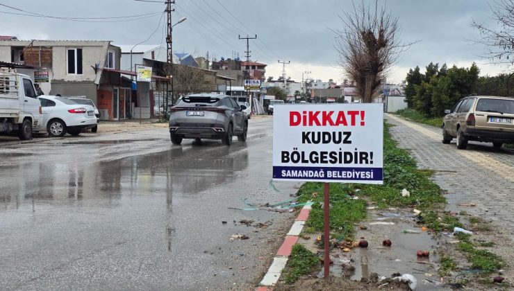 Hatay’da kuduz vakası nedeniyle 4 mahalle karantinaya alındı