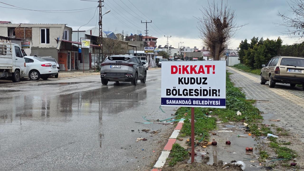 Hatay’da kuduz vakası nedeniyle 4 mahalle karantinaya alındı
