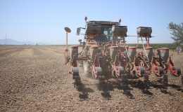 Tarımsal destek ödemeleri bugün yapılacak