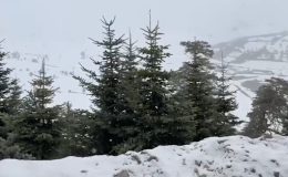 Bolu ve Düzce’nin yüksek kesimlerine mayısta kar yağdı