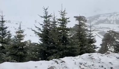 Bolu ve Düzce’nin yüksek kesimlerine mayısta kar yağdı