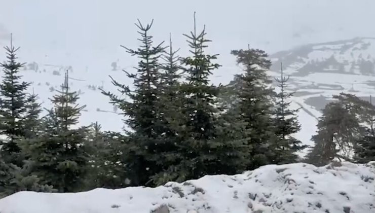 Bolu ve Düzce’nin yüksek kesimlerine mayısta kar yağdı