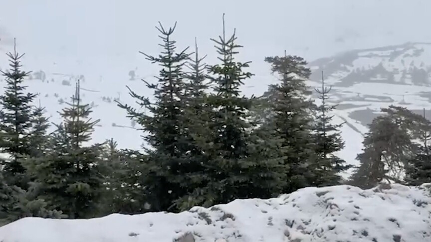 Bolu ve Düzce’nin yüksek kesimlerine mayısta kar yağdı