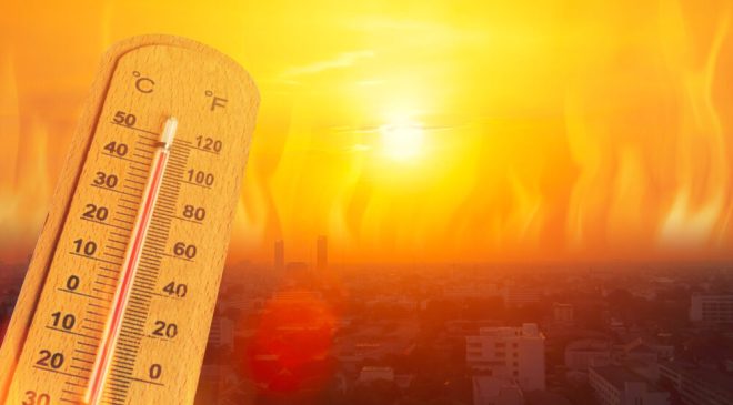 Avrupa’da rekor kıran sıcaklıklarda 300’e yakın kişi hayatını kaybetti