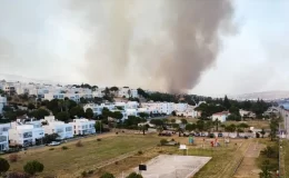 Bursa’daki orman yangını kontrol altına alındı, İzmir’deki yangına müdahale sürüyor