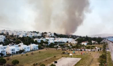 Bursa’daki orman yangını kontrol altına alındı, İzmir’deki yangına müdahale sürüyor