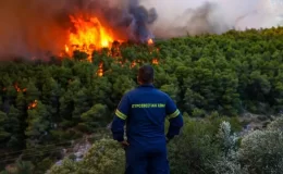 Avrupa’daki orman yangınları toplamda 22 milyar dolara varan hasara yol açtı.