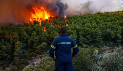Avrupa’daki orman yangınları toplamda 22 milyar dolara varan hasara yol açtı.