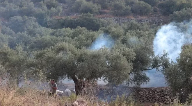 İsrail işgalcileri, işgal altındaki Batı Şeria’da Filistinli çiftçileri ordunun kovması sırasında zeytin ağaçlarını yakıyor.