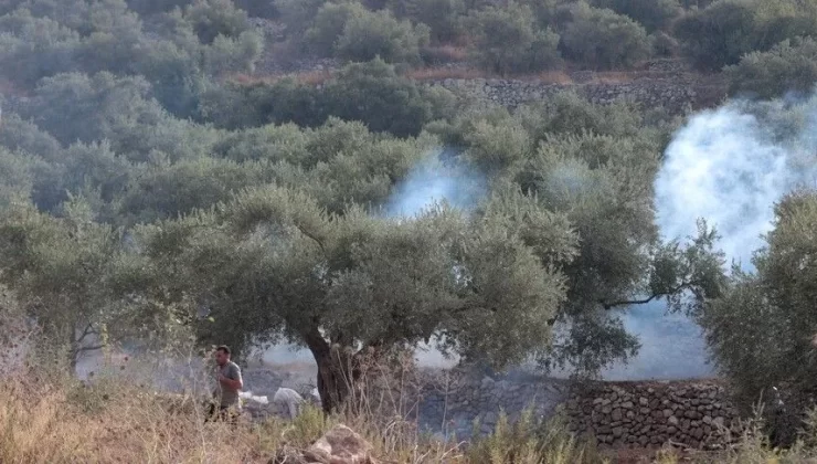 İsrail işgalcileri, işgal altındaki Batı Şeria’da Filistinli çiftçileri ordunun kovması sırasında zeytin ağaçlarını yakıyor.