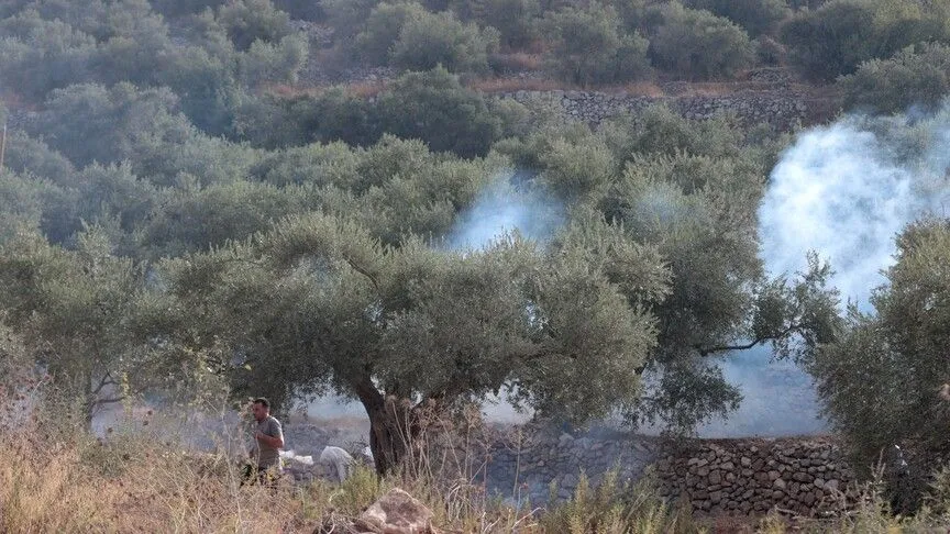 İsrail işgalcileri, işgal altındaki Batı Şeria’da Filistinli çiftçileri ordunun kovması sırasında zeytin ağaçlarını yakıyor.
